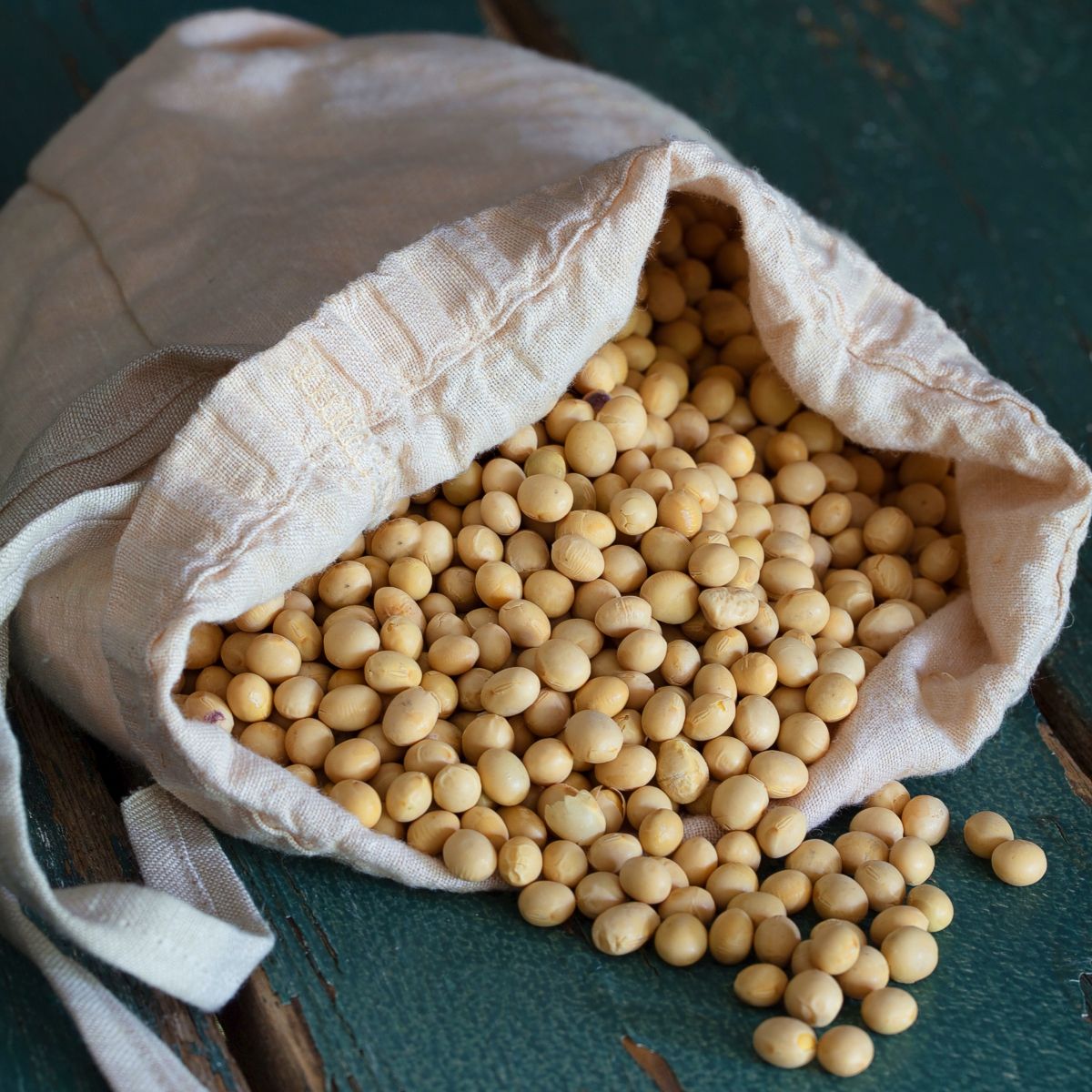 Soybeans For Sale