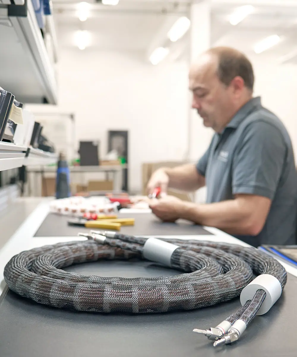 Speaker Wire industry insight