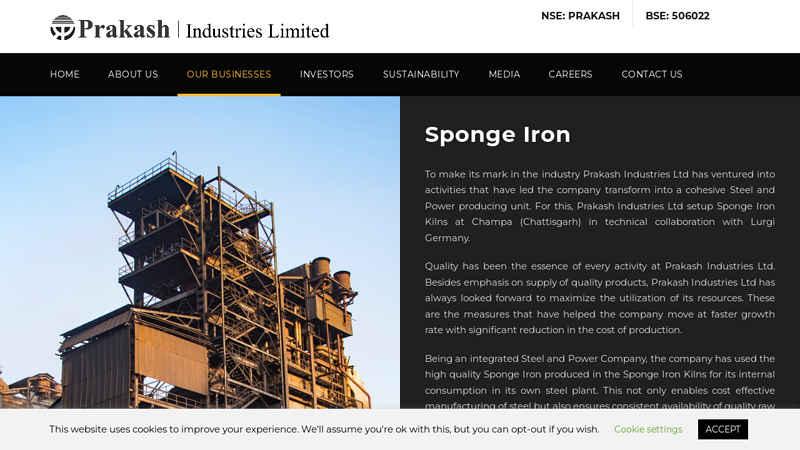 Sponge Iron