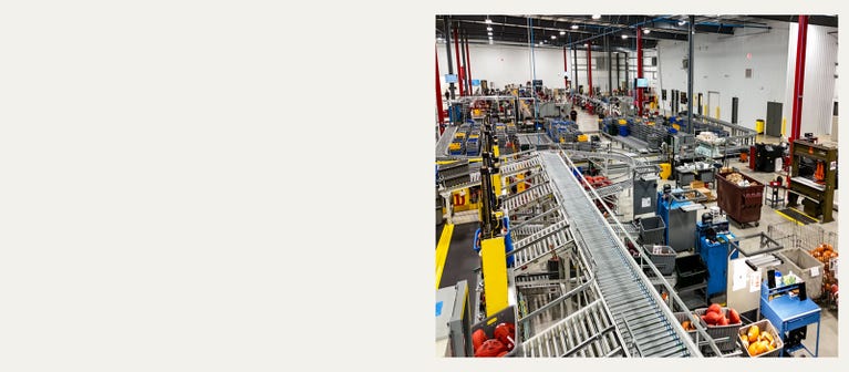 Sports Memorabilia Distributors industry insight