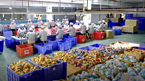 Squishmallow Distributor industry insight