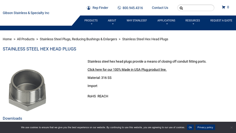 Stainless Steel Hex Head Plugs