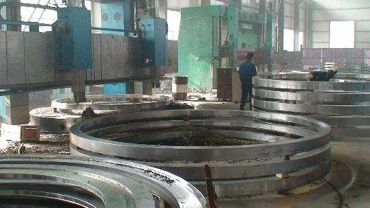 Stainless Steel Pipe Flanges industry insight