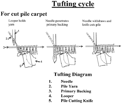 Staple Carpet industry insight