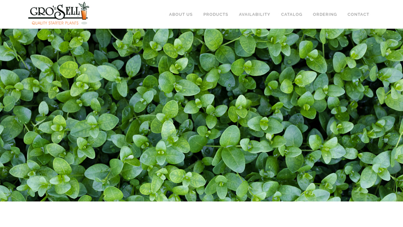 Starter Plants, Wholesale Greenhouse