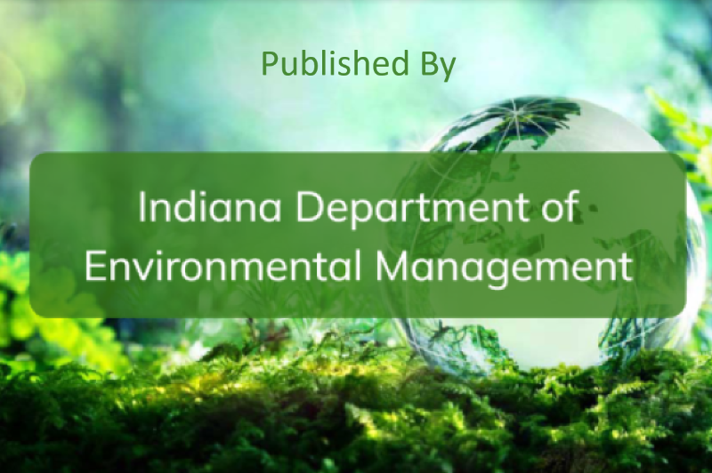 State Cleanup Program