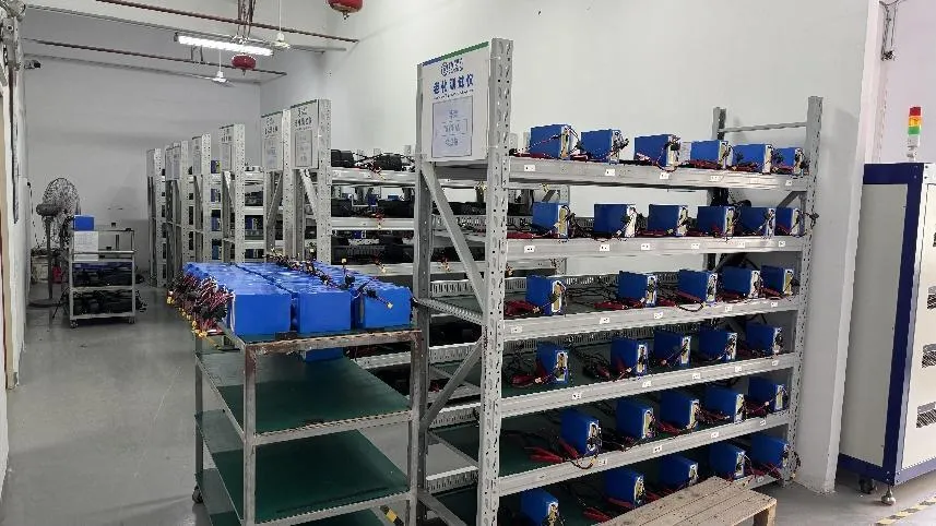 Storage Lipo Battery industry insight