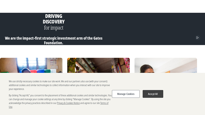 Strategic Investment Fund