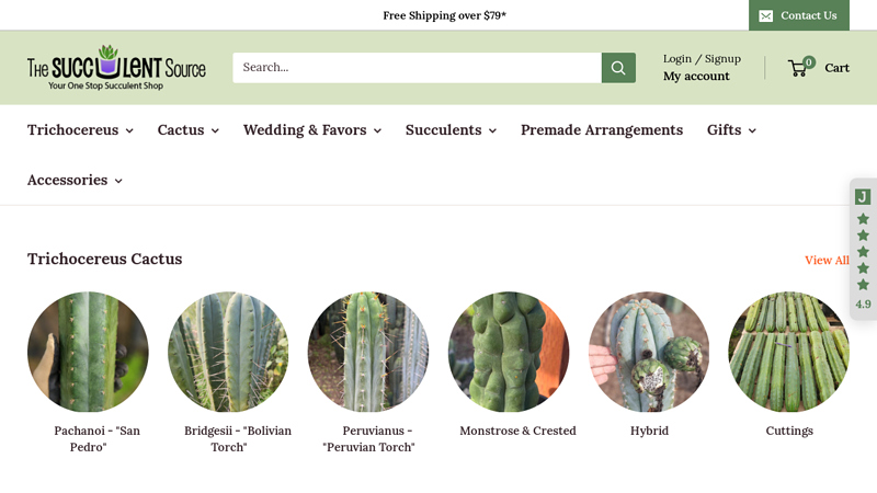 Succulent Wedding Favors and Trichocereus San Pedro Cactus for ...