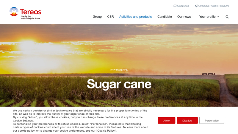 Sugar cane