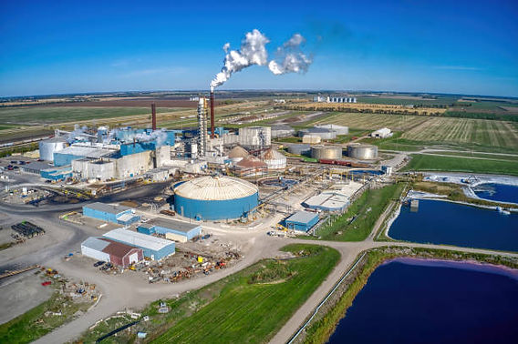 Sugar Companies - Brazil Sugar Exporters