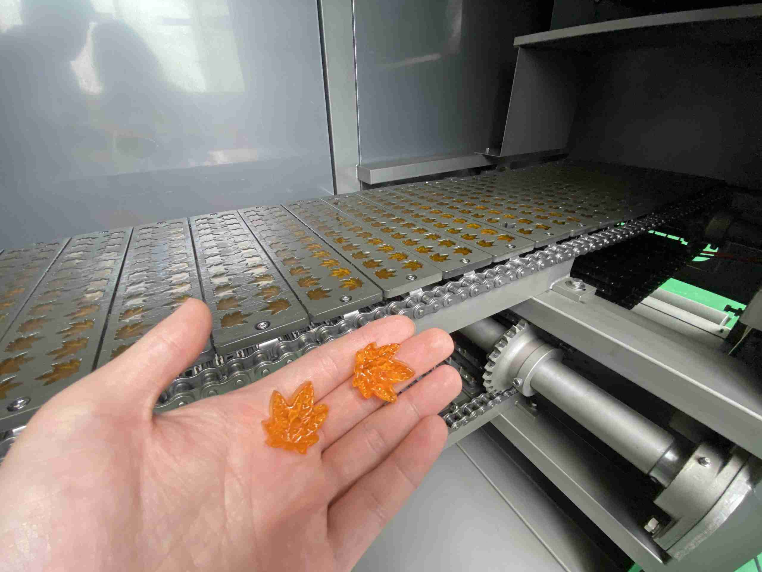 Sugar For A Cotton Candy Machine industry insight