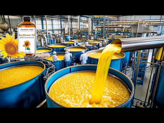 Sunflower Oil industry insight