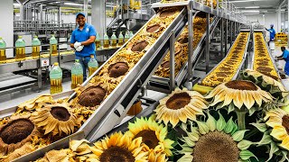 Sunflower Seed Companies industry insight