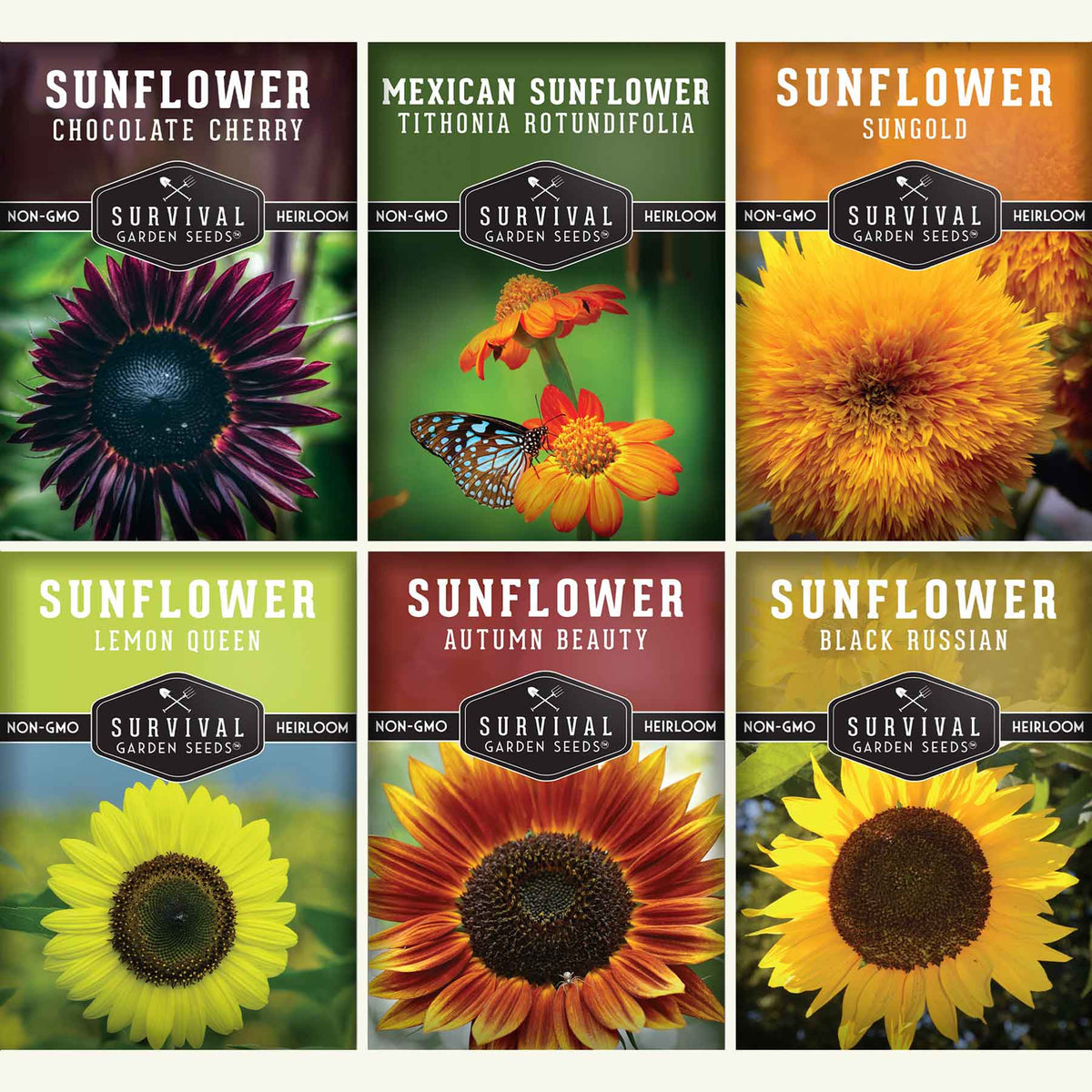 Sunflowers
