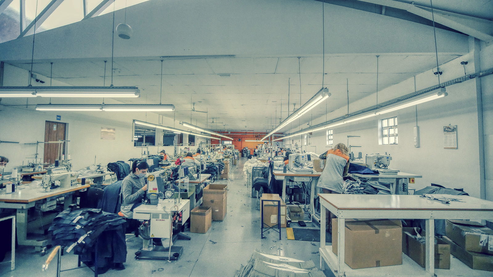 Sustainable Clothing industry insight