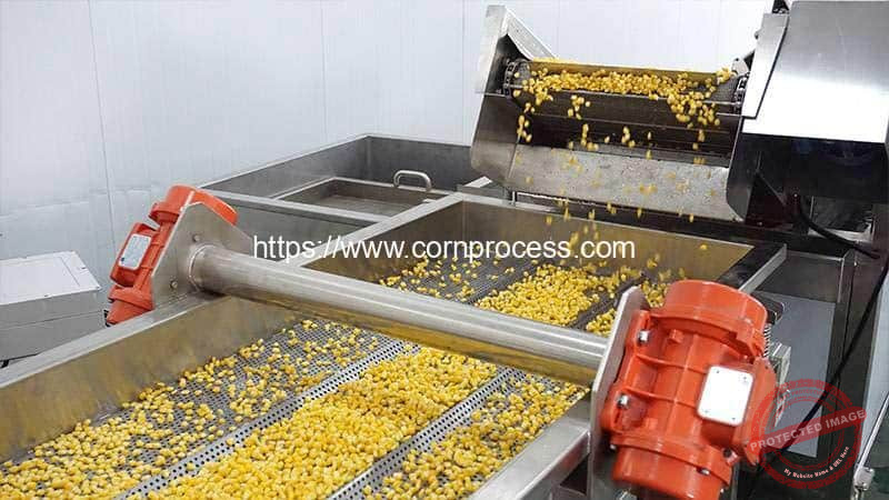 Sweet Corn Seed In Bulk industry insight