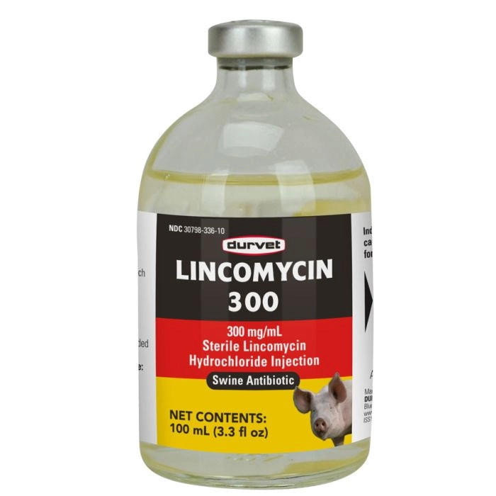 Swine Antibiotics and Medications