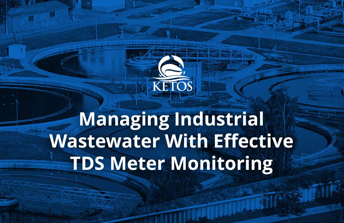 Tds Meters industry insight