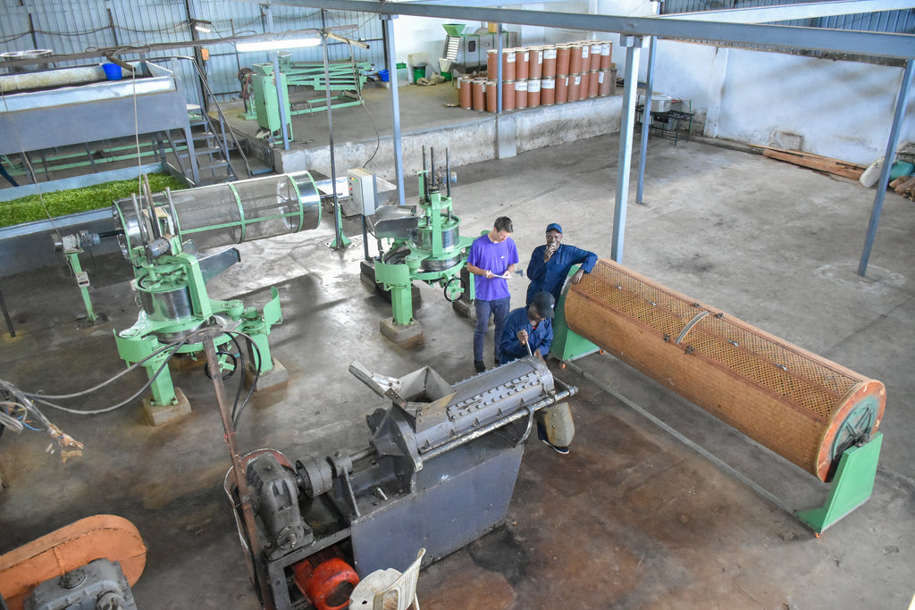 Tea Distributors industry insight