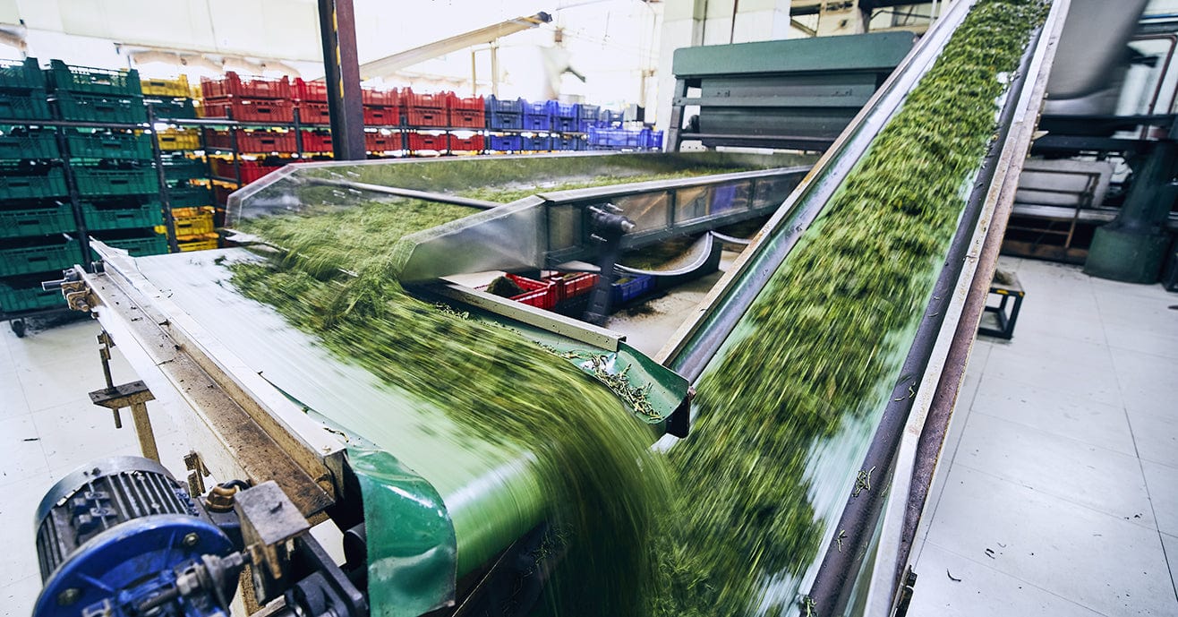 Tea industry insight