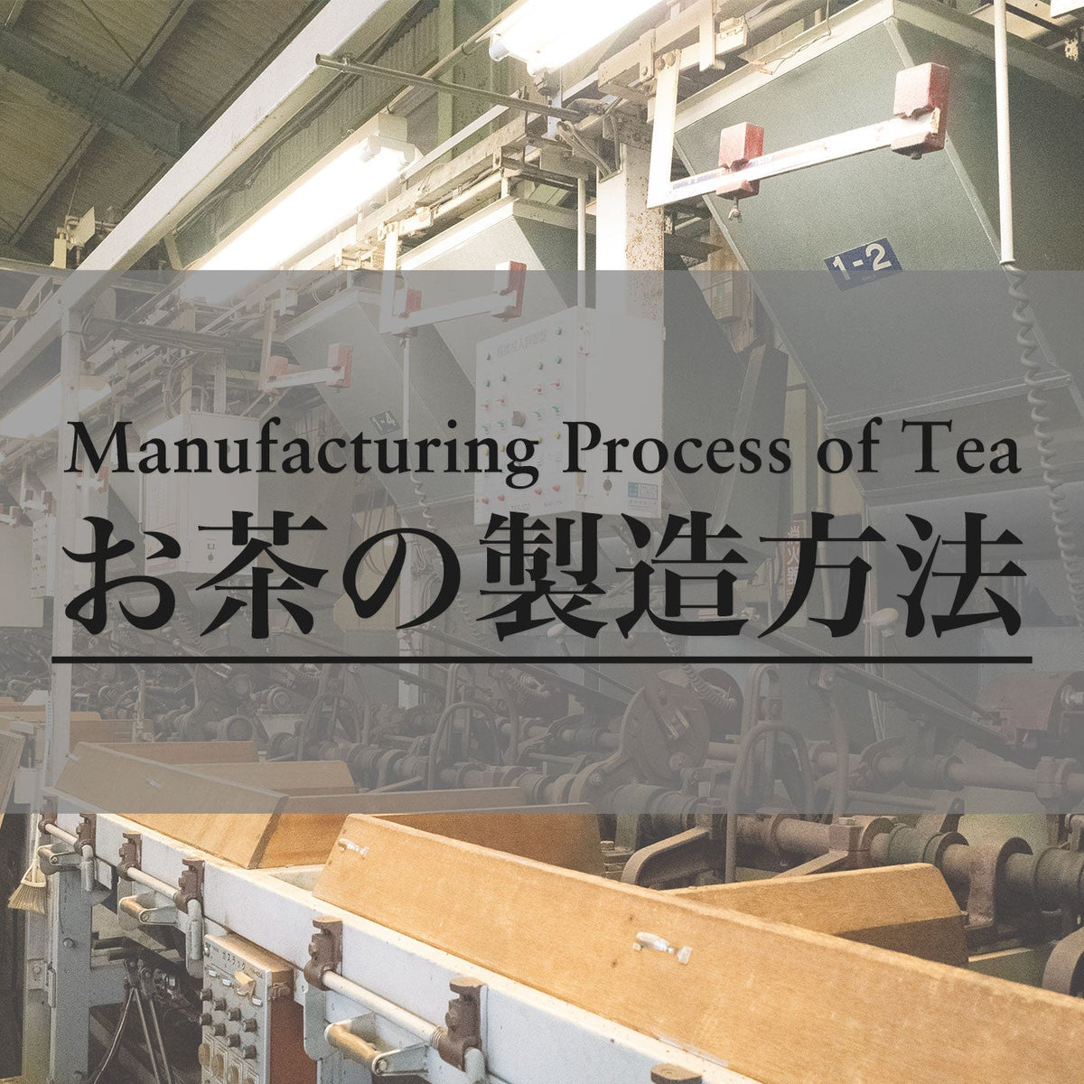 Tea Molding industry insight