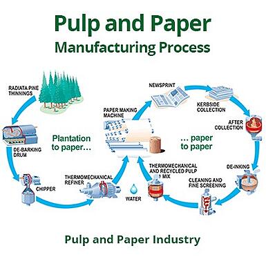 Temper Paper industry insight
