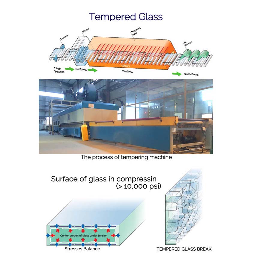Tempered Glass industry insight