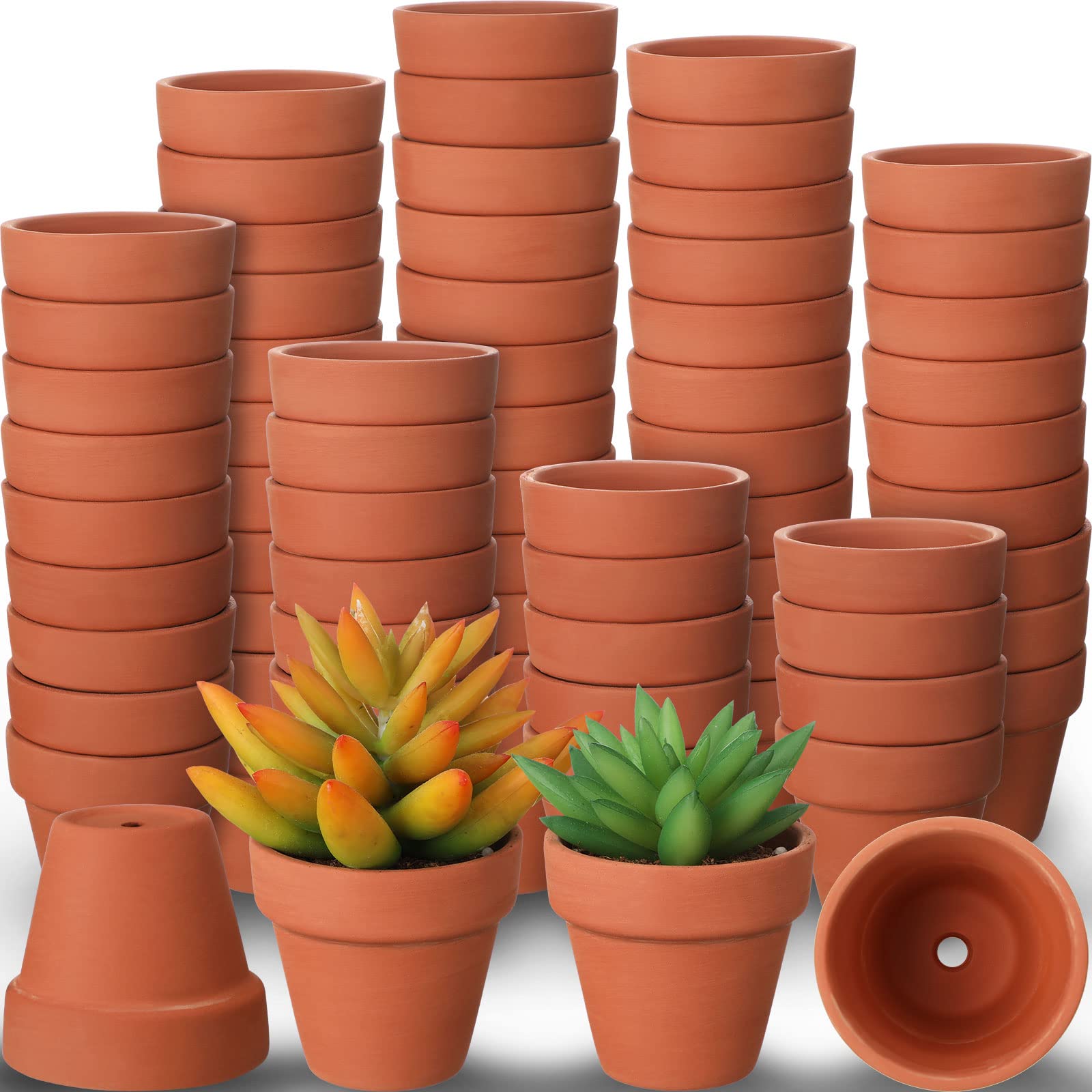 Terracotta Planter