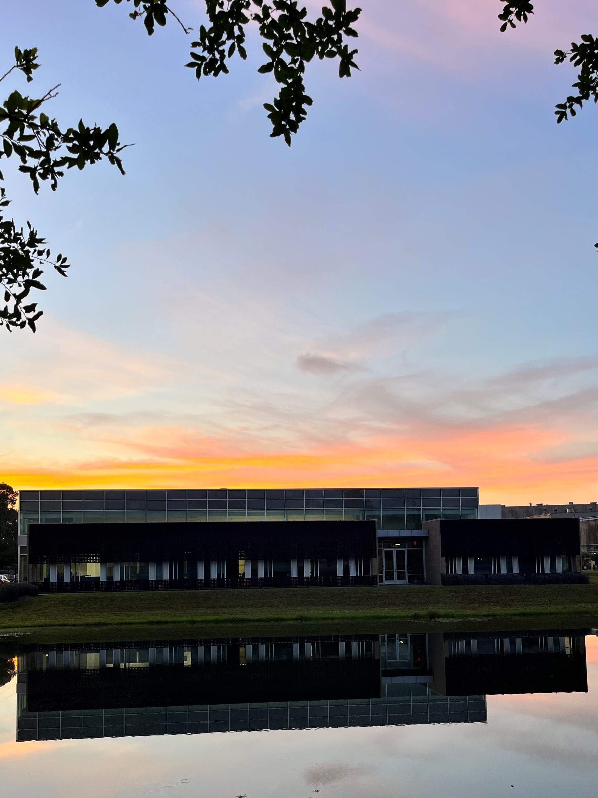 Texas Steel Processing