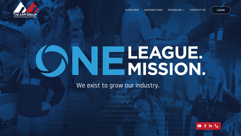 The AAM Group