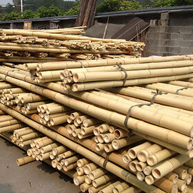 The Bamboo Suppliers