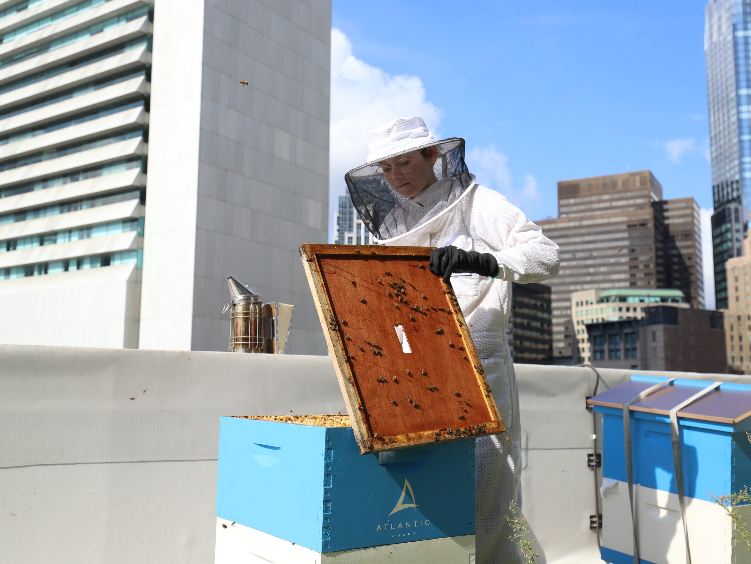 The Best Bees Company