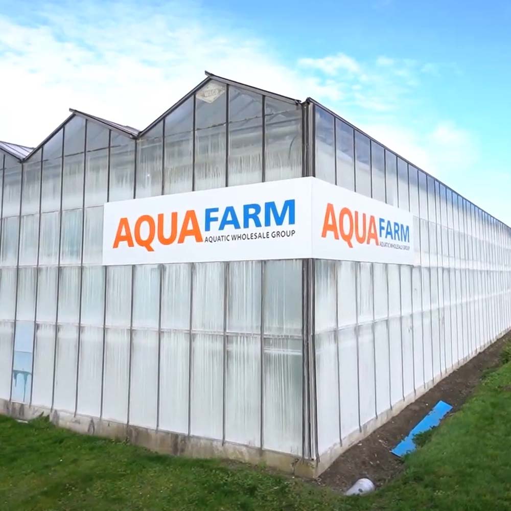 The Finest Aquatic and Companion Animal Wholesale Supplier ...