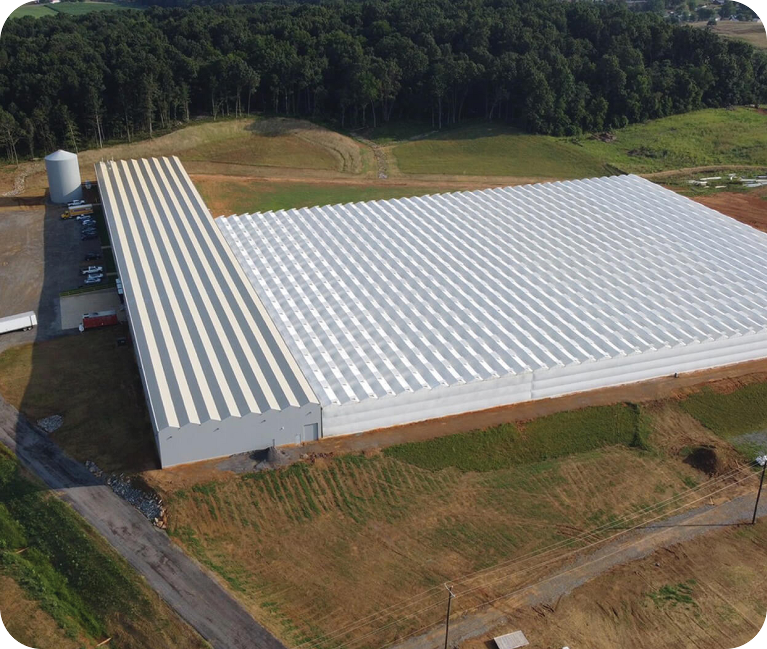 The Plant Company – innovative, high