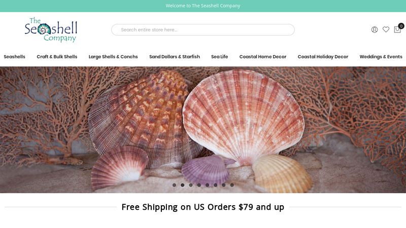 The Seashell Company
