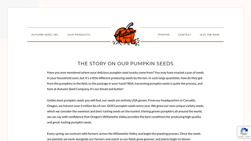 The Story On Our Pumpkin Seeds