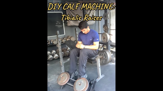 Tibialis Raise Machine industry insight