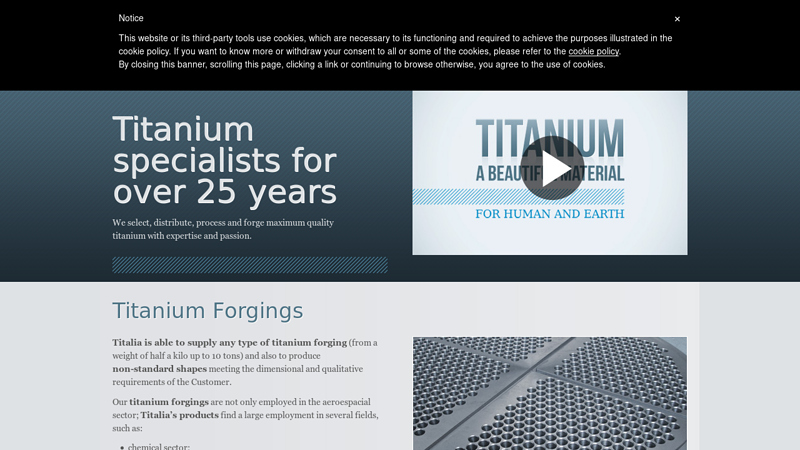 Titanium Forgings