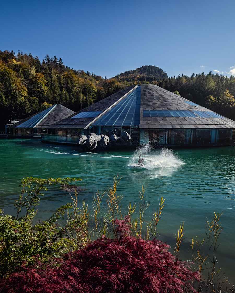 to Red Bull's supplier information page