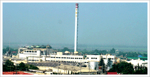 to THAI RAYON PUBLIC COMPANY LIMITED