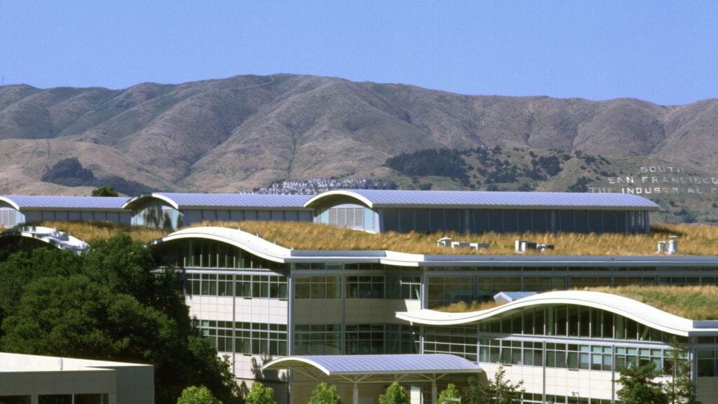 to the World of CHERRY