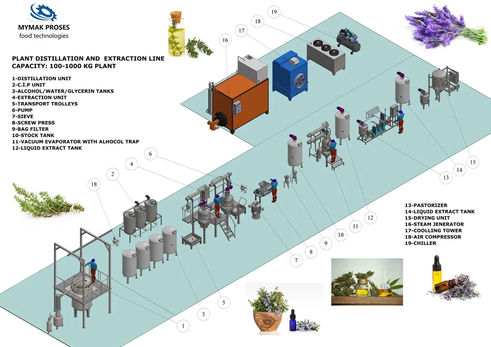 Toothache Plant Extract industry insight