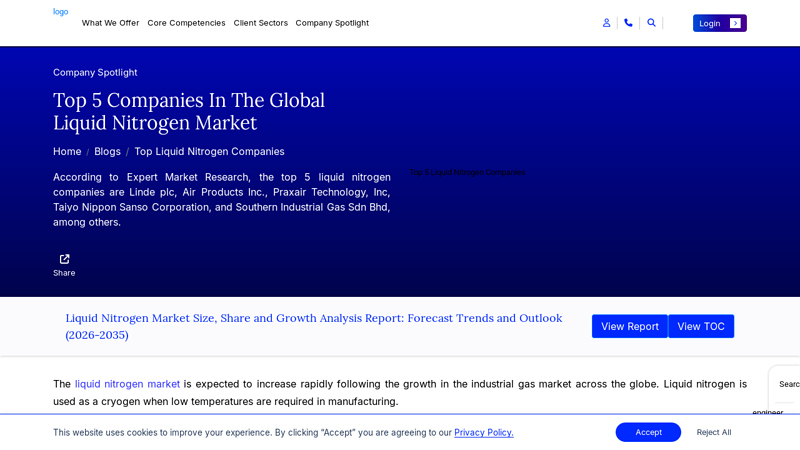 Top 5 Companies in the Global Liquid Nitrogen Market