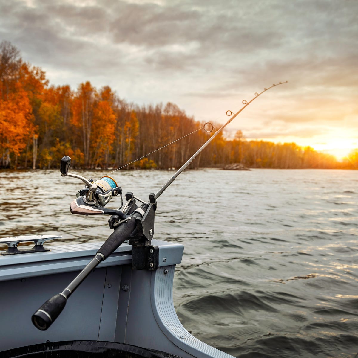 Top Fishing Gear Brands & Fishing Tackle