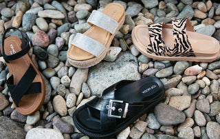 Top Guy Shoes: Top Guy Intl