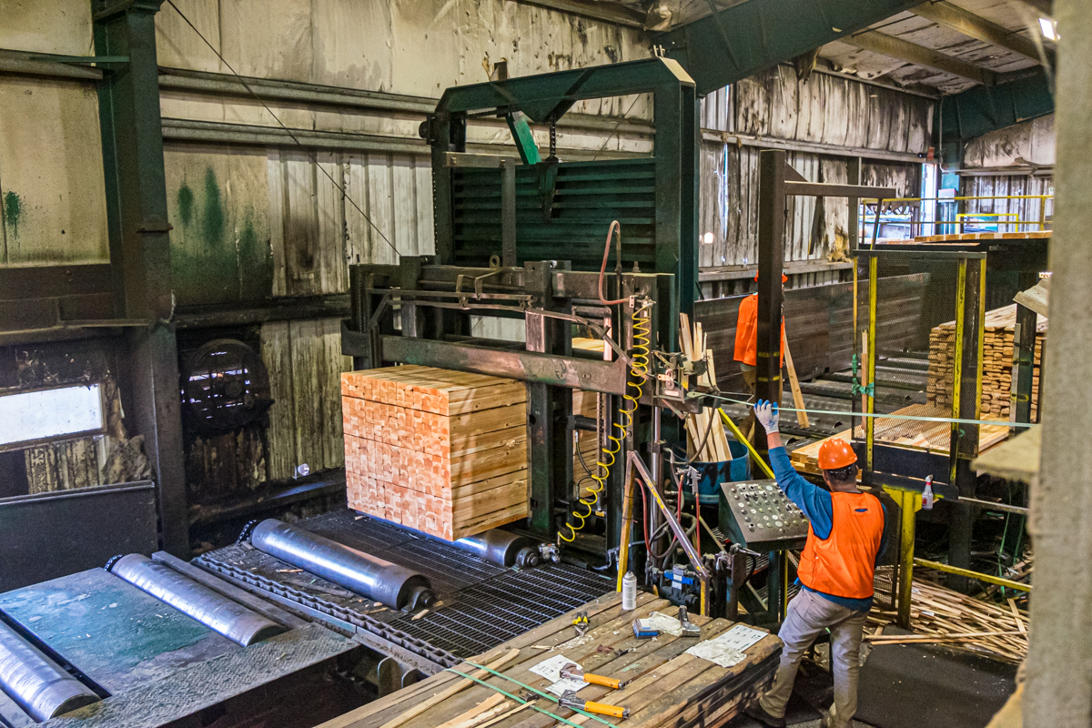 Top Lumber Companies industry insight