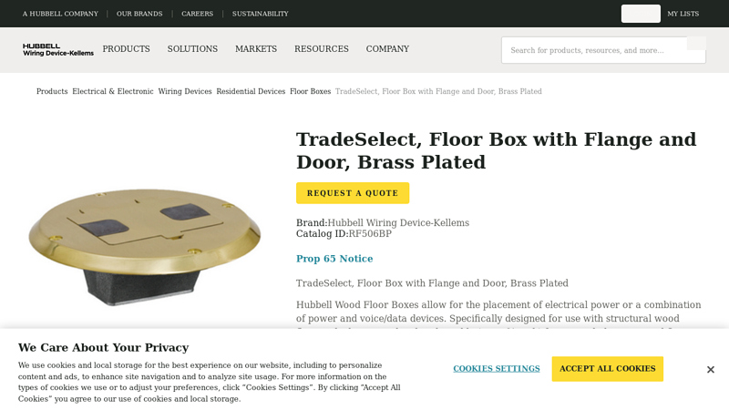 TradeSelect, Floor Box with Flange and Door, Brass Plated