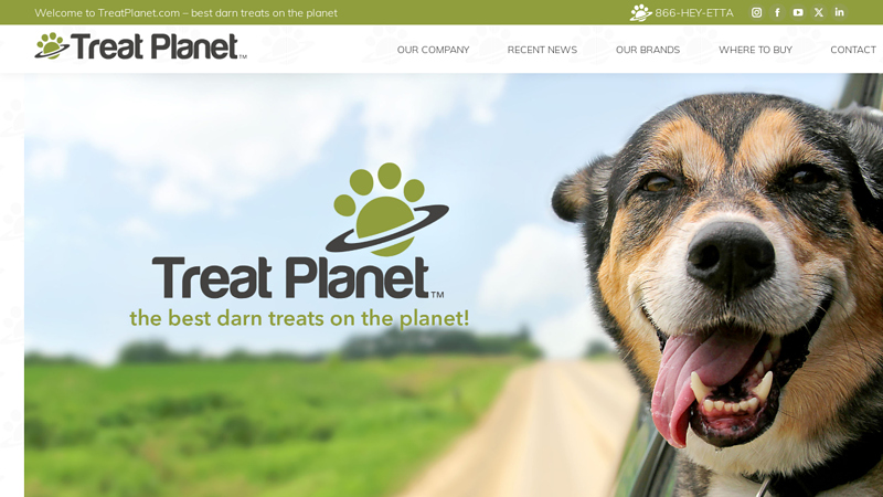 Treat Planet