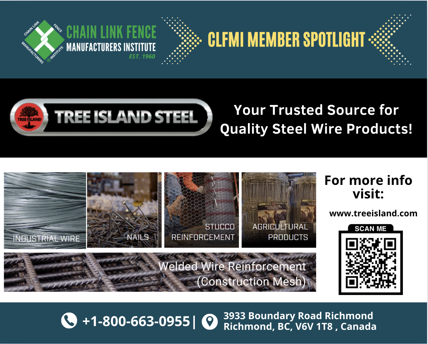 Tree Island Steel